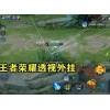 王者荣耀国际服透视发卡网-王者荣耀国际服